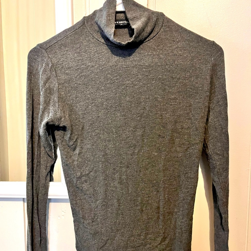 Brandy Melville Turtle Neck Long Sleeve